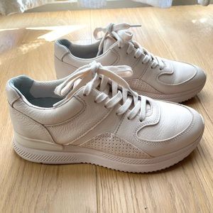 Everlane Trainers Size 7.5 (fits 6.5/7 best)